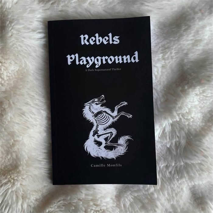 Rebels Playground, cover design